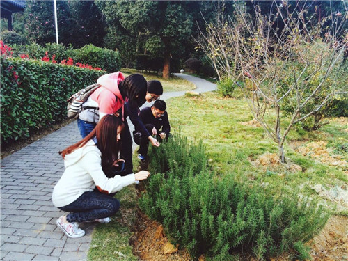 QQ图片20141116223535