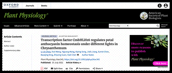 PP麻豆在线截图